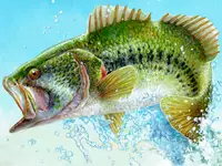 Bass Fishing Pro