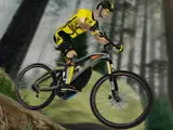 MTB Pro Racer