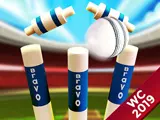 Cricket World Cup Game 2019: Mini Ground Cricket