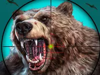 Wild Bear Hunting Game