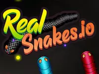 Real Snakes.io