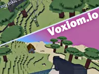Voxiom.io