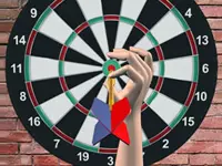 501 Darts