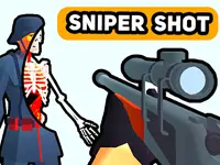 Sniper Shot: Bullet Time