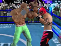 Real Boxing Fighting