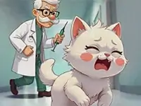 Kitten And Doctor